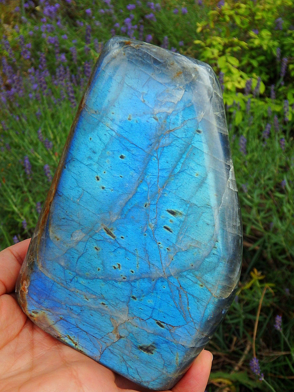 AA Grade~ 2 Lb Outrageously Gorgeous Solid Sea Foam Blue Flash Labradorite Display Specimen - Earth Family Crystals