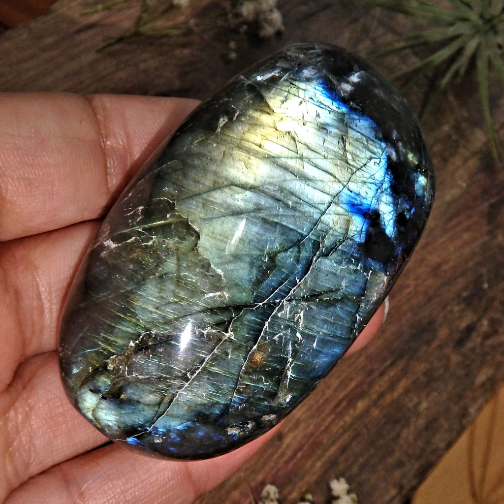 Frosty Gold & Blue Flash Labradorite Polished Specimen - Earth Family Crystals