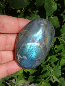 Rare Purple & Pink Flashes With Rainbow of Color Labradorite Pocket Stone - Earth Family Crystals