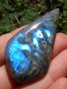 Beautiful Free-Form Rainbow Labradorite Cabochon~Ideal for Jewellery Making! - Earth Family Crystals