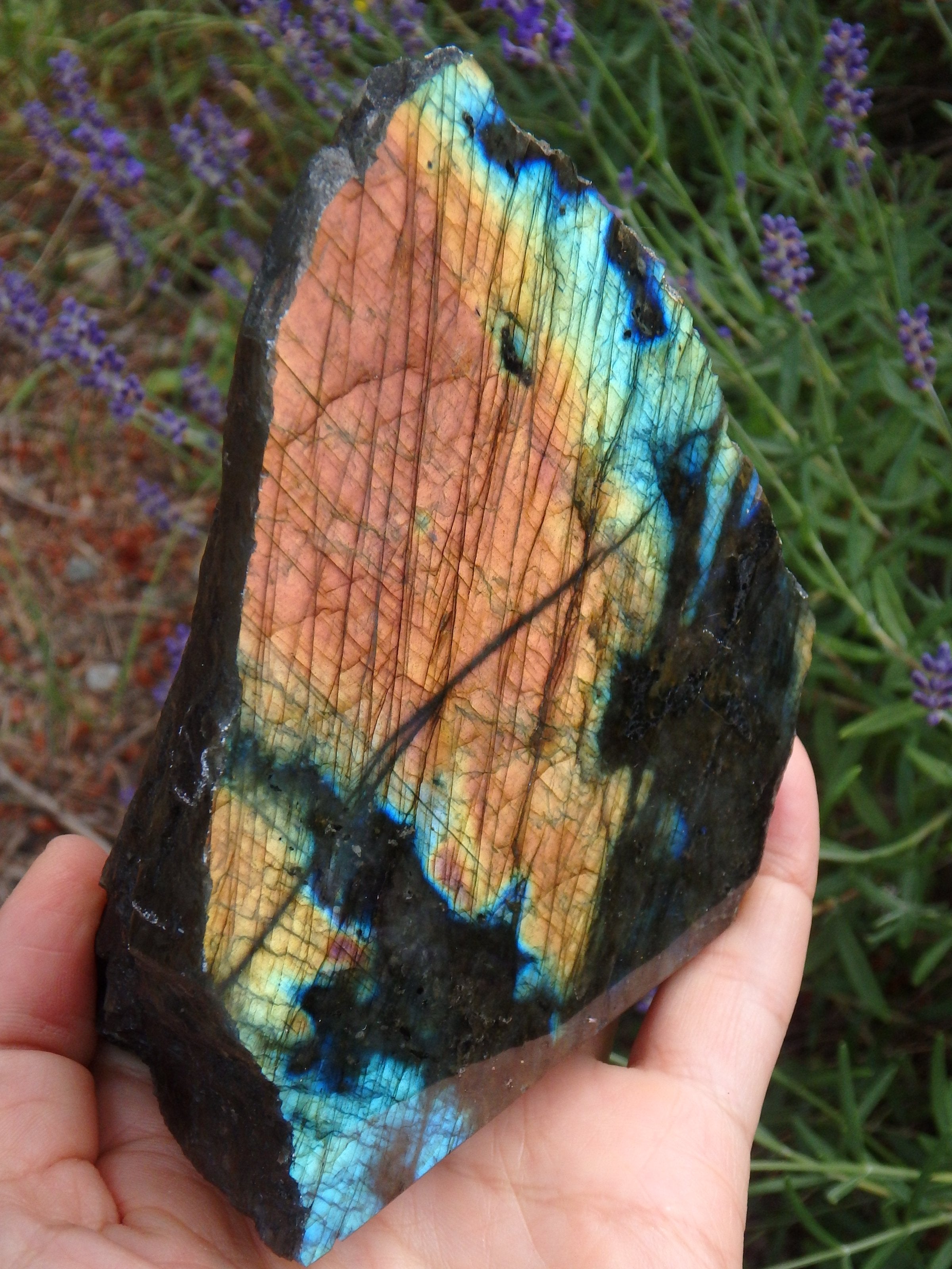 Fabulous Flashes~Large Partially Polished Labradorite Display Specimen - Earth Family Crystals
