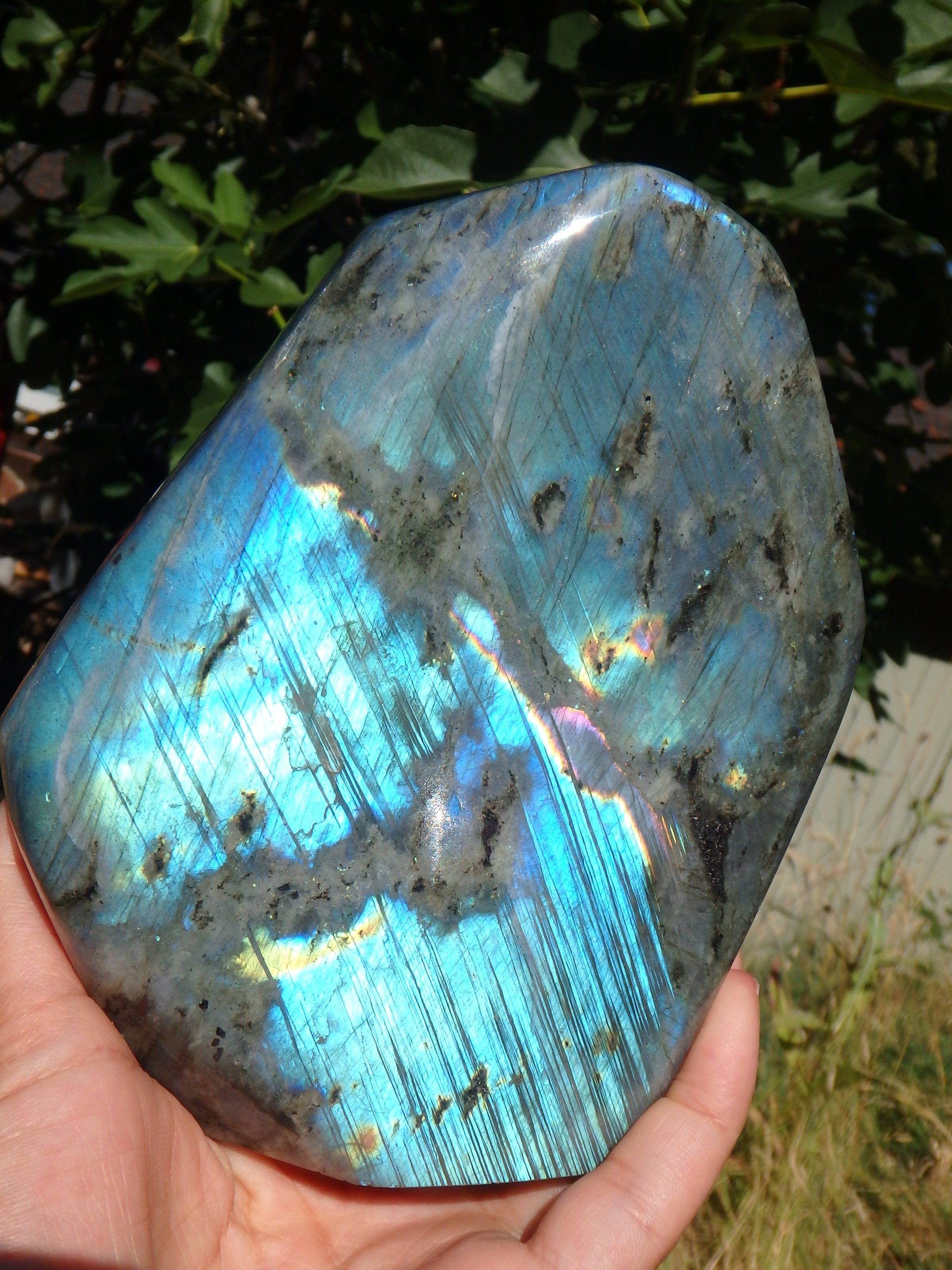 Fabulous XL Double Sided Ribbon of Flashes Labradorite Standing Display Specimen - Earth Family Crystals