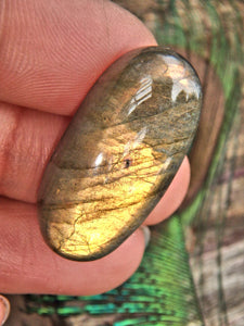 Sunny Golden Flashes Labradorite Cabochon - Earth Family Crystals