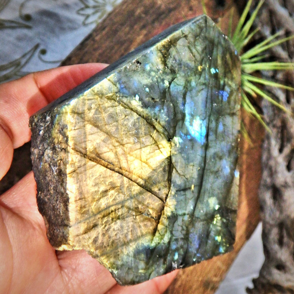 Partially Polished Labradorite Free Form Specimen From Madagascar - Earth Family Crystals