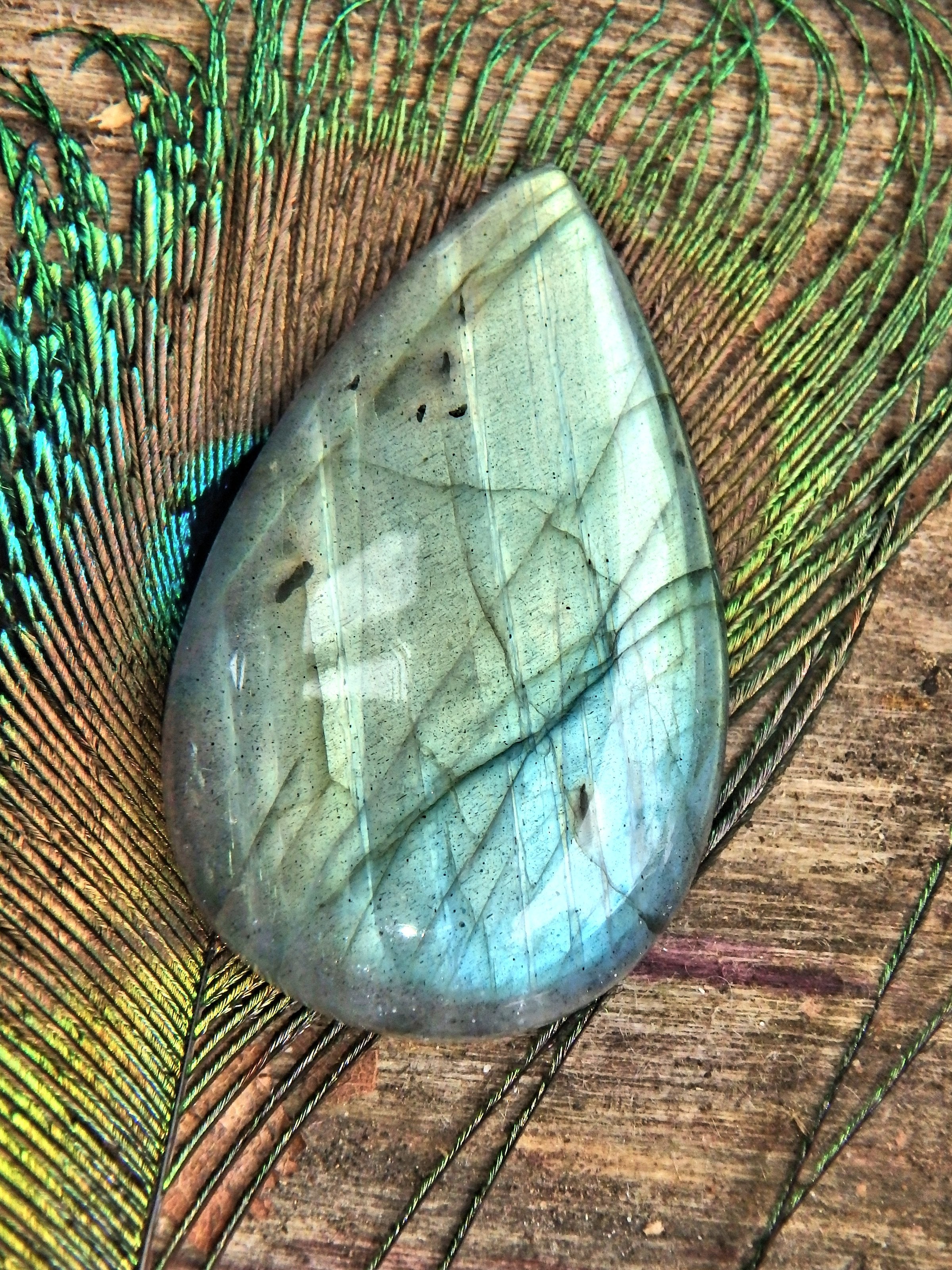 Stunning Moving Gold Flash Raindrop Shape Labradorite Cabochon - Earth Family Crystals