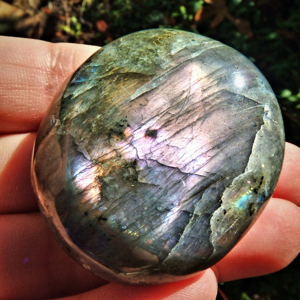 Rare Frosted Blushing Pink & Purple Flashes Labradorite Smooth Palm Stone - Earth Family Crystals