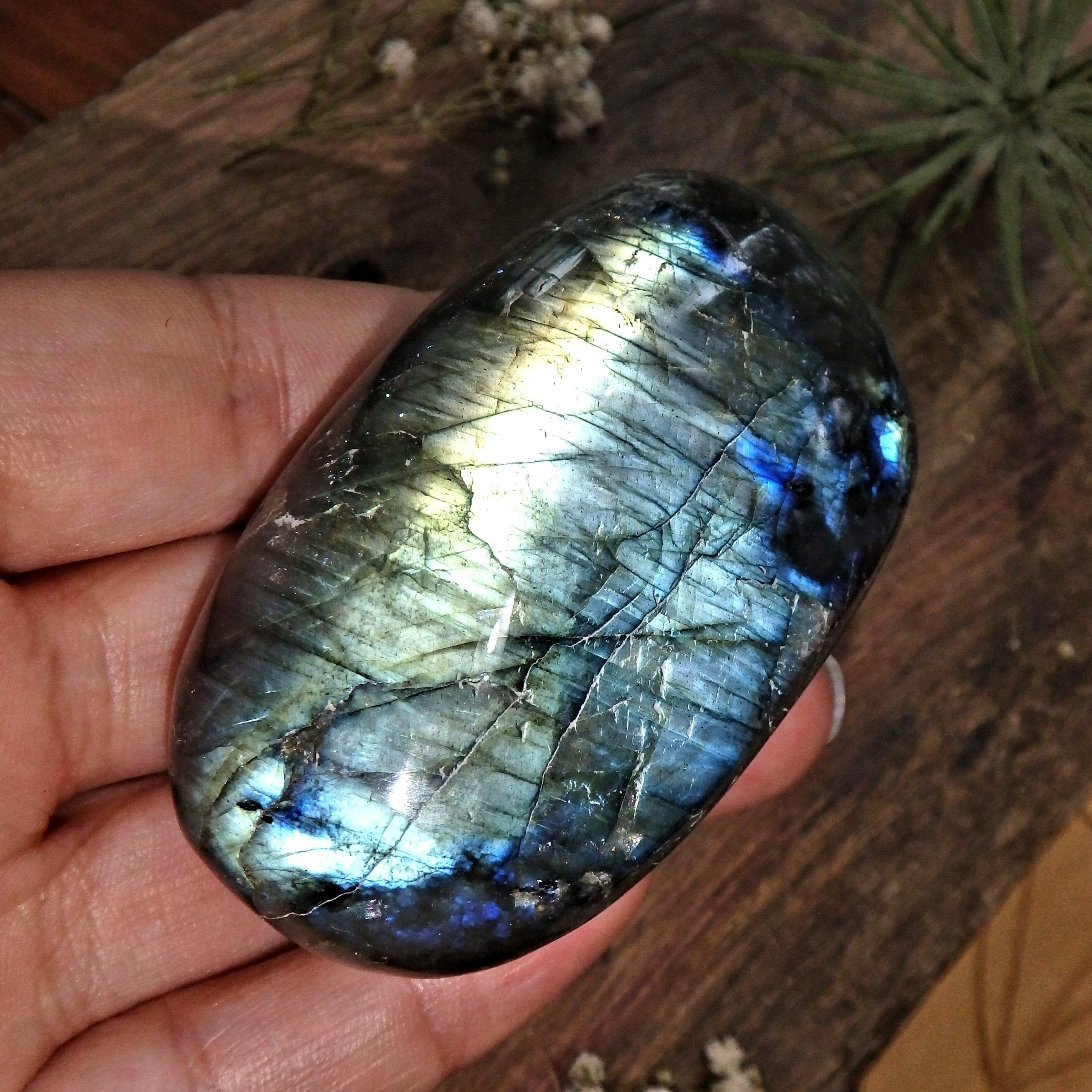 Frosty Gold & Blue Flash Labradorite Polished Specimen - Earth Family Crystals
