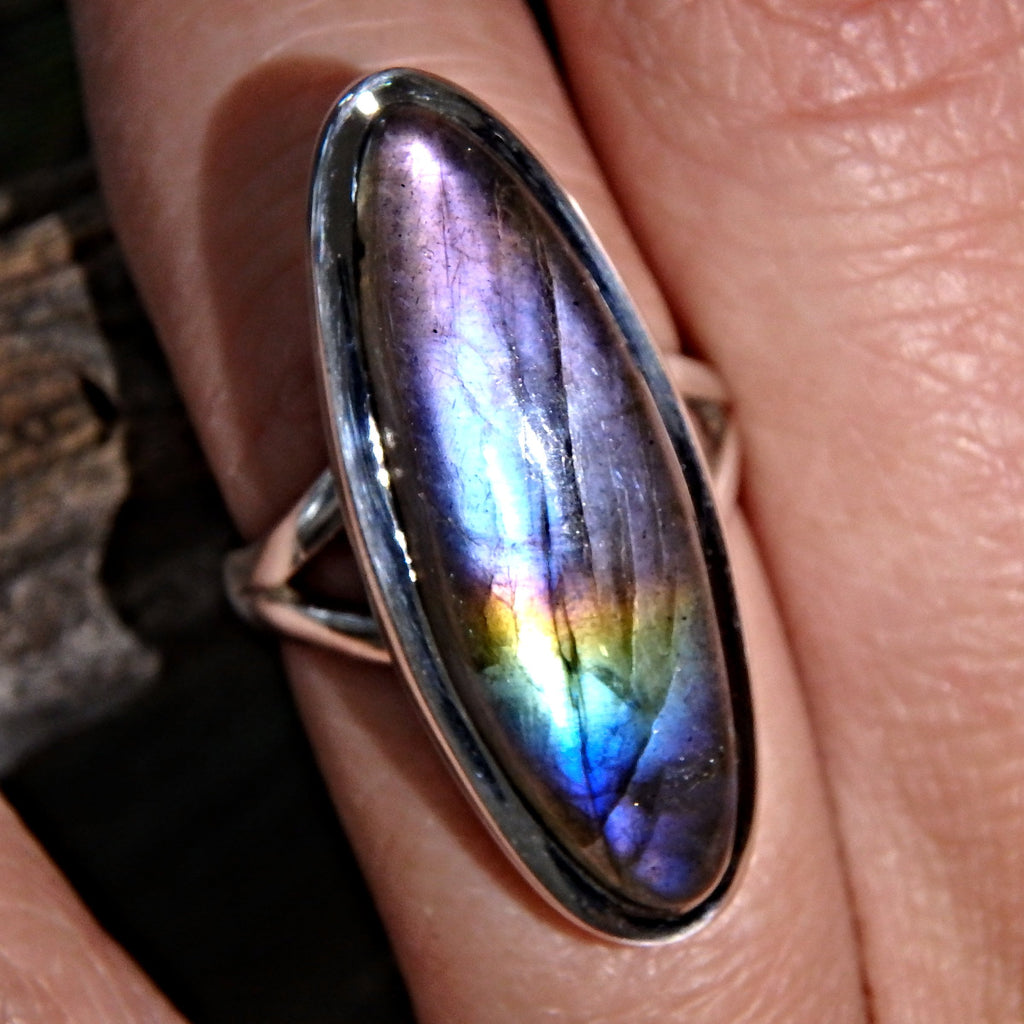 Super Stunning Rainbow of Flashes Labradorite Ring in Sterling Silver (Size 6) - Earth Family Crystals