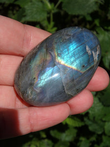 Rare Purple & Pink Flashes With Rainbow of Color Labradorite Pocket Stone - Earth Family Crystals