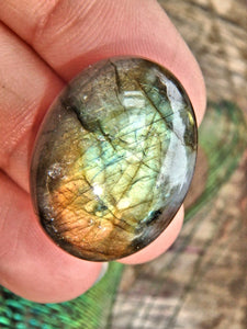 Pretty Moving Flashes of Color Labradorite Cabochon - Earth Family Crystals