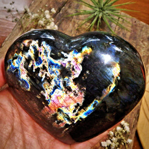 Rainbows of Flash Large Labradorite Love Heart with Satin Black Shimmer - Earth Family Crystals