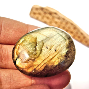 Intense Double Sided Flashes Labradorite Palm Stone #2