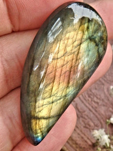 Pretty Teardrop Peachy Pink & Golden Flash Labradorite Cabochon - Earth Family Crystals