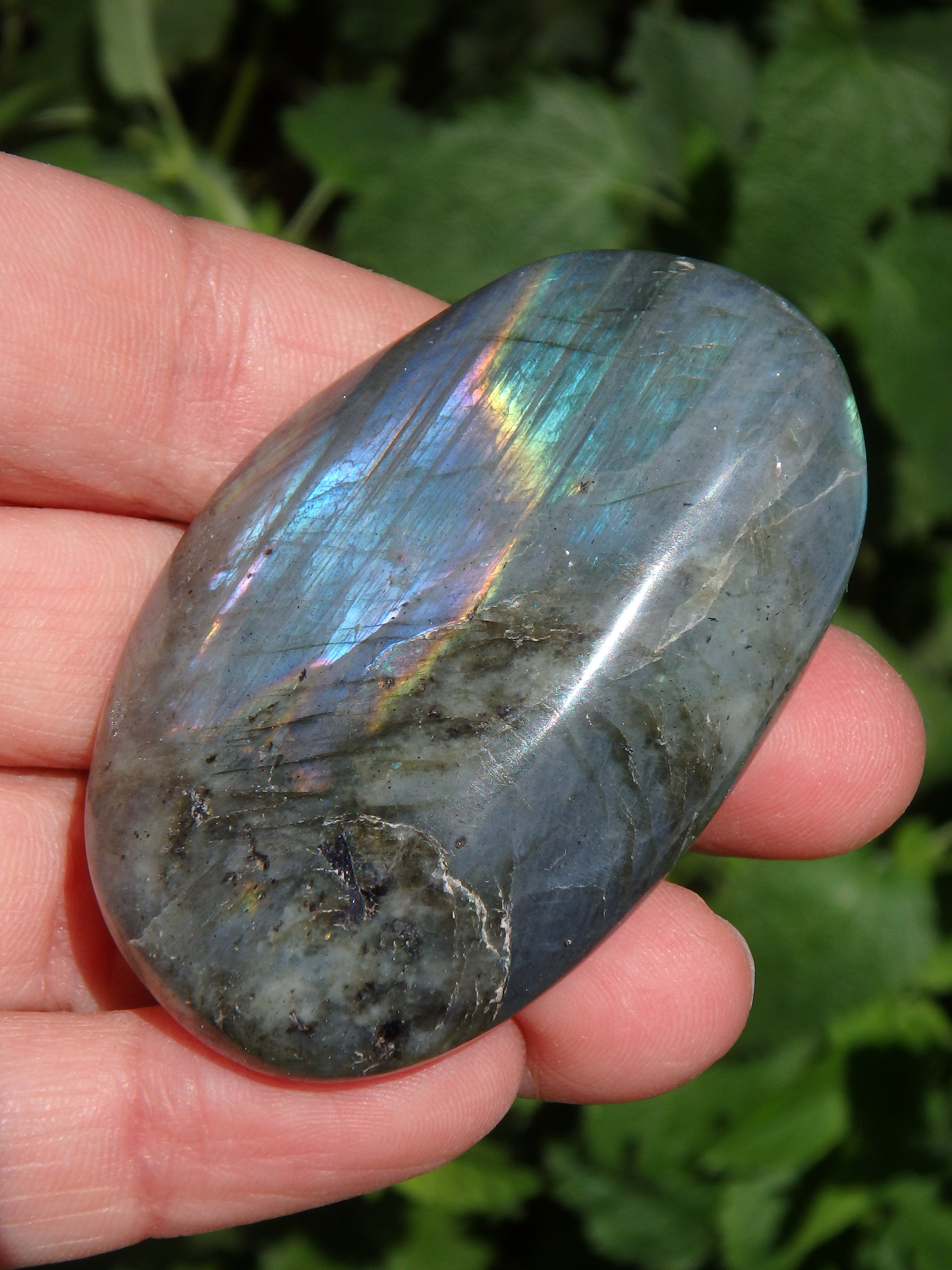 Rare Purple & Pink Flashes With Rainbow of Color Labradorite Pocket Stone - Earth Family Crystals