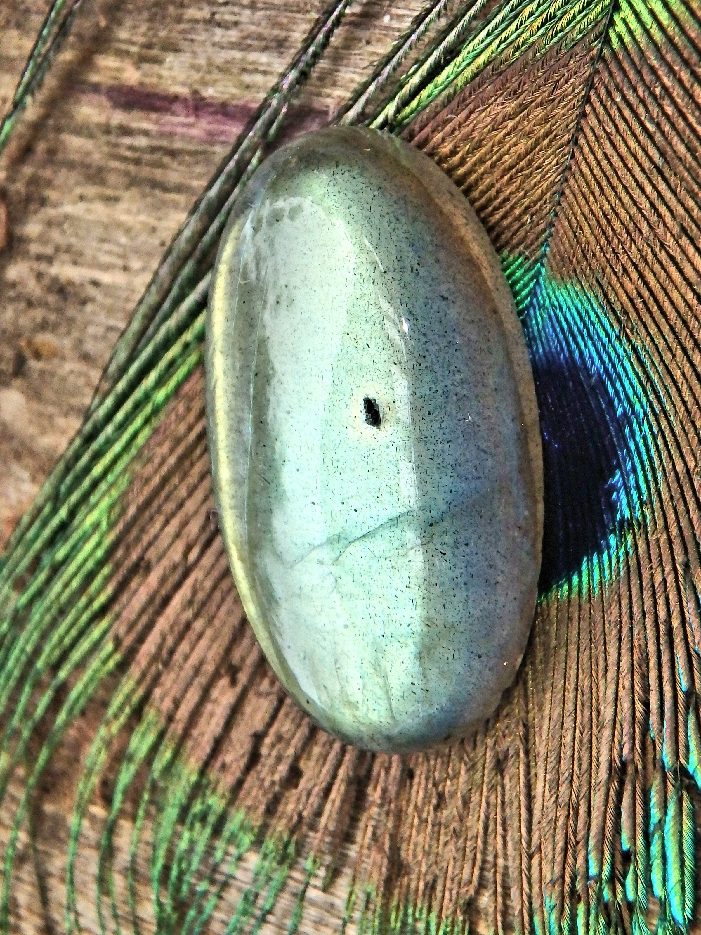 Foamy Sea Green & Gold Flash Labradorite Cabochon - Earth Family Crystals