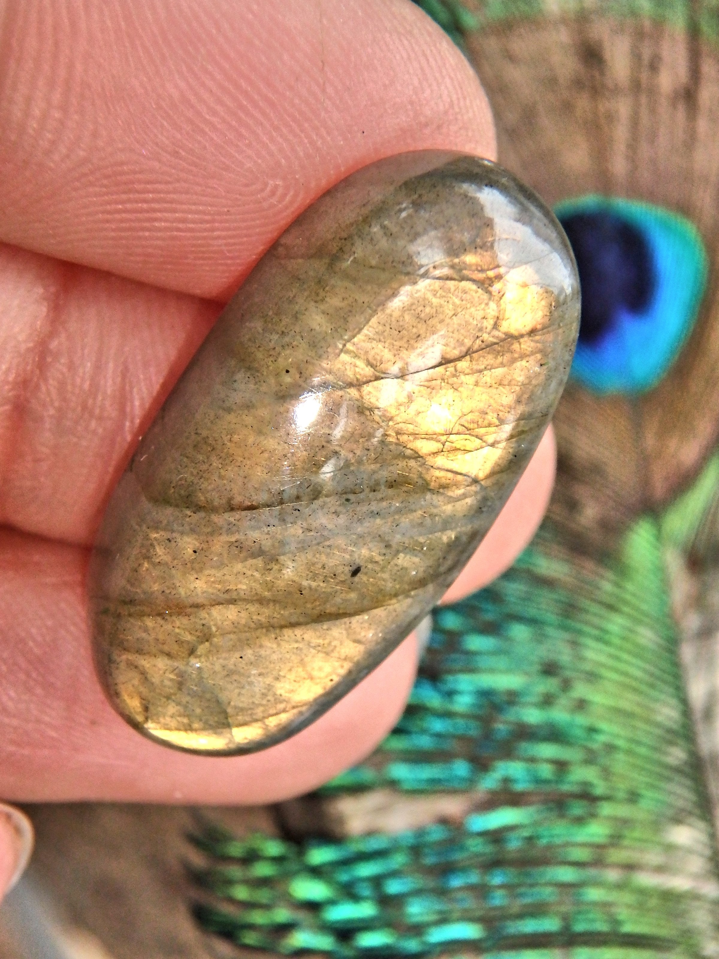 Sunny Golden Flashes Labradorite Cabochon - Earth Family Crystals