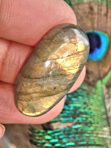 Sunny Golden Flashes Labradorite Cabochon - Earth Family Crystals