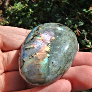 Rainbows of Flashes Labradorite Smooth Palm Stone1 - Earth Family Crystals