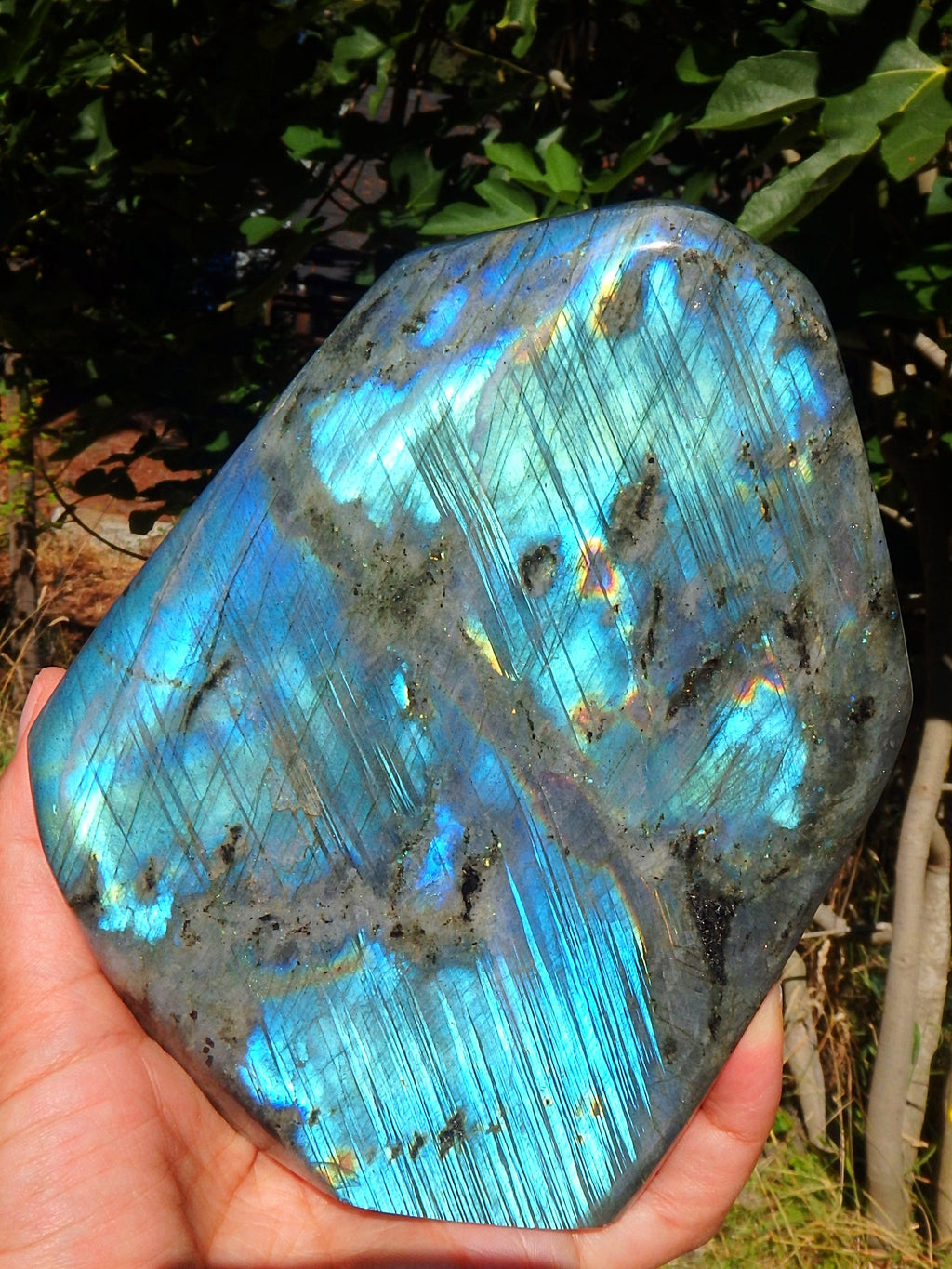 Fabulous XL Double Sided Ribbon of Flashes Labradorite Standing Display Specimen - Earth Family Crystals