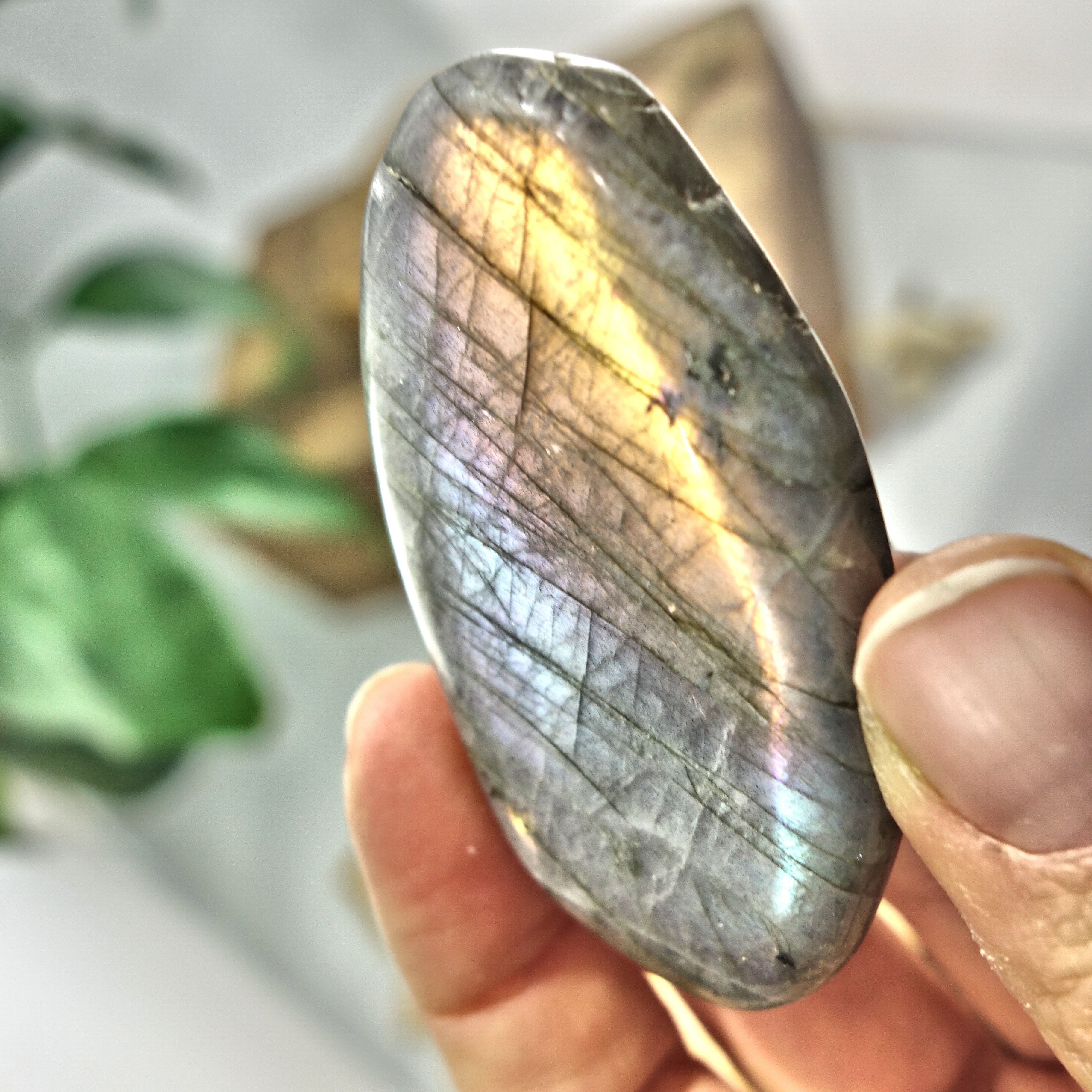 Rare Blushing Purple & Pink Inclusions Labradorite Handheld Palm Stone 4 - Earth Family Crystals