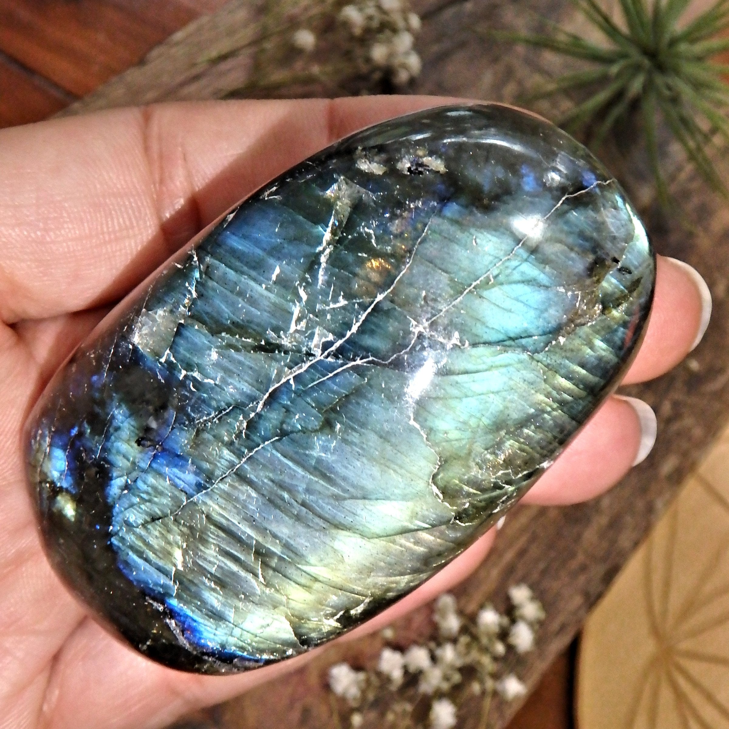 Frosty Gold & Blue Flash Labradorite Polished Specimen - Earth Family Crystals