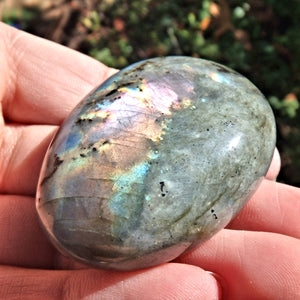 Rainbows of Flashes Labradorite Smooth Palm Stone1 - Earth Family Crystals