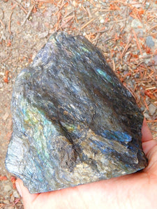 Fabulous Flashes~Large Partially Polished Labradorite Display Specimen - Earth Family Crystals
