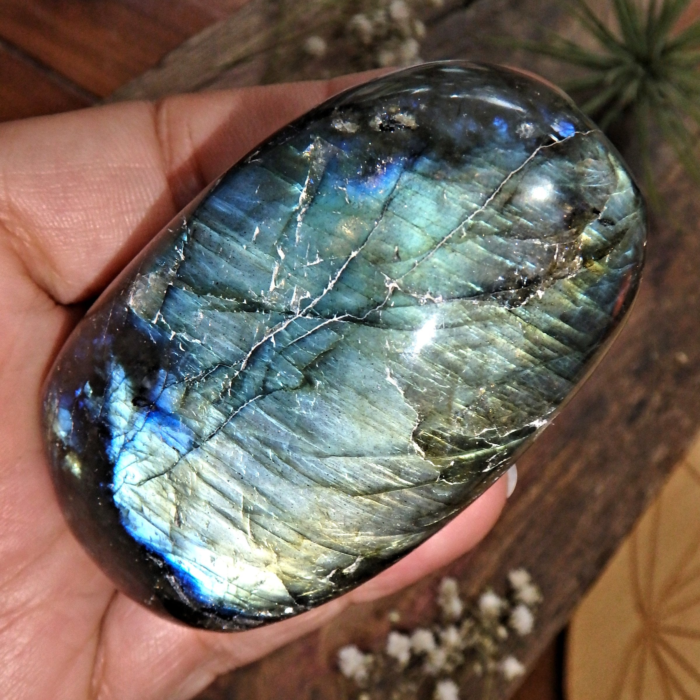 Frosty Gold & Blue Flash Labradorite Polished Specimen - Earth Family Crystals