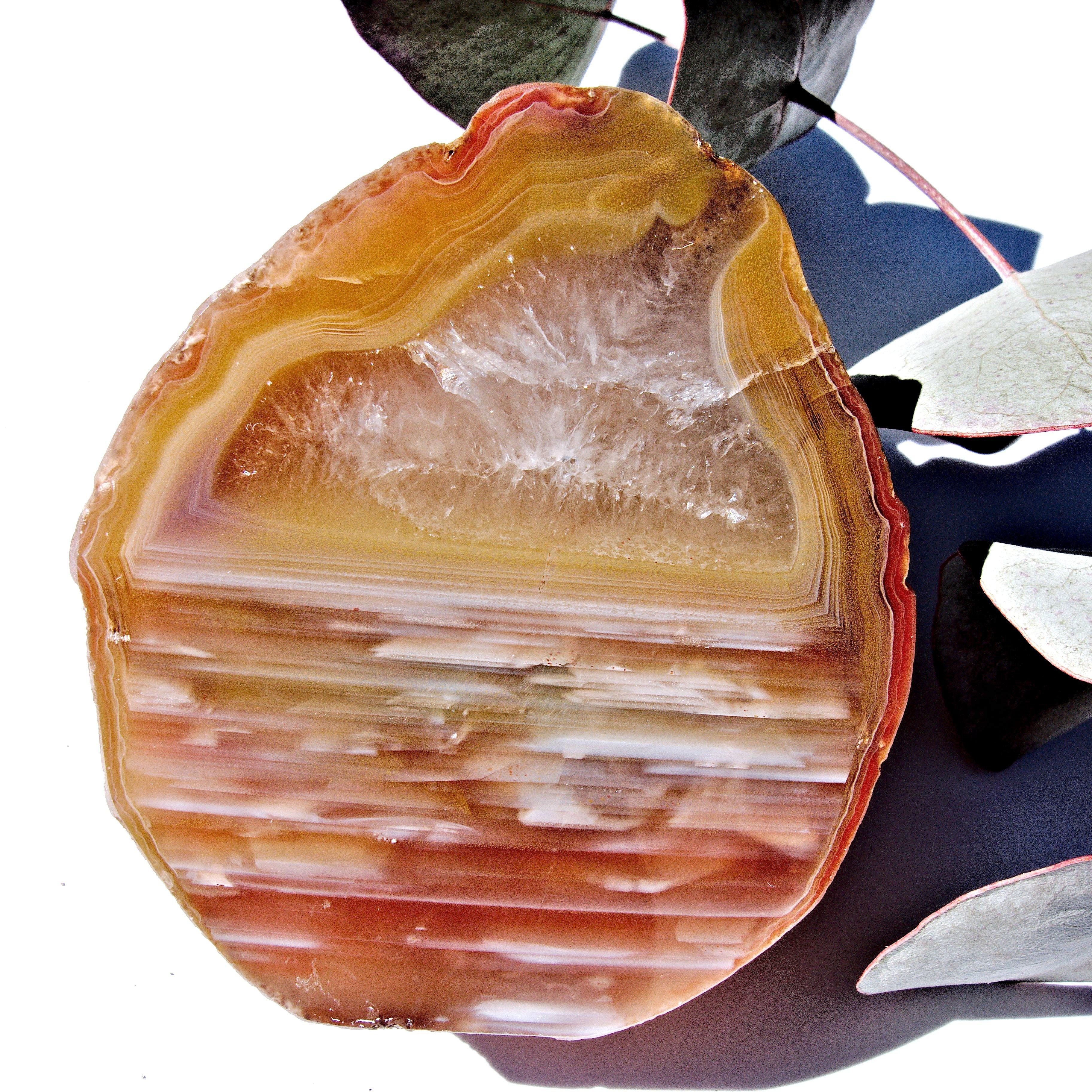 Australian Landscape Agate Partially Polished Display Specimen - Earth Family Crystals