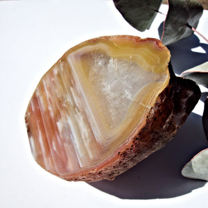 Australian Landscape Agate Partially Polished Display Specimen - Earth Family Crystals