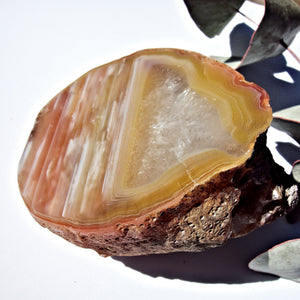 Australian Landscape Agate Partially Polished Display Specimen - Earth Family Crystals