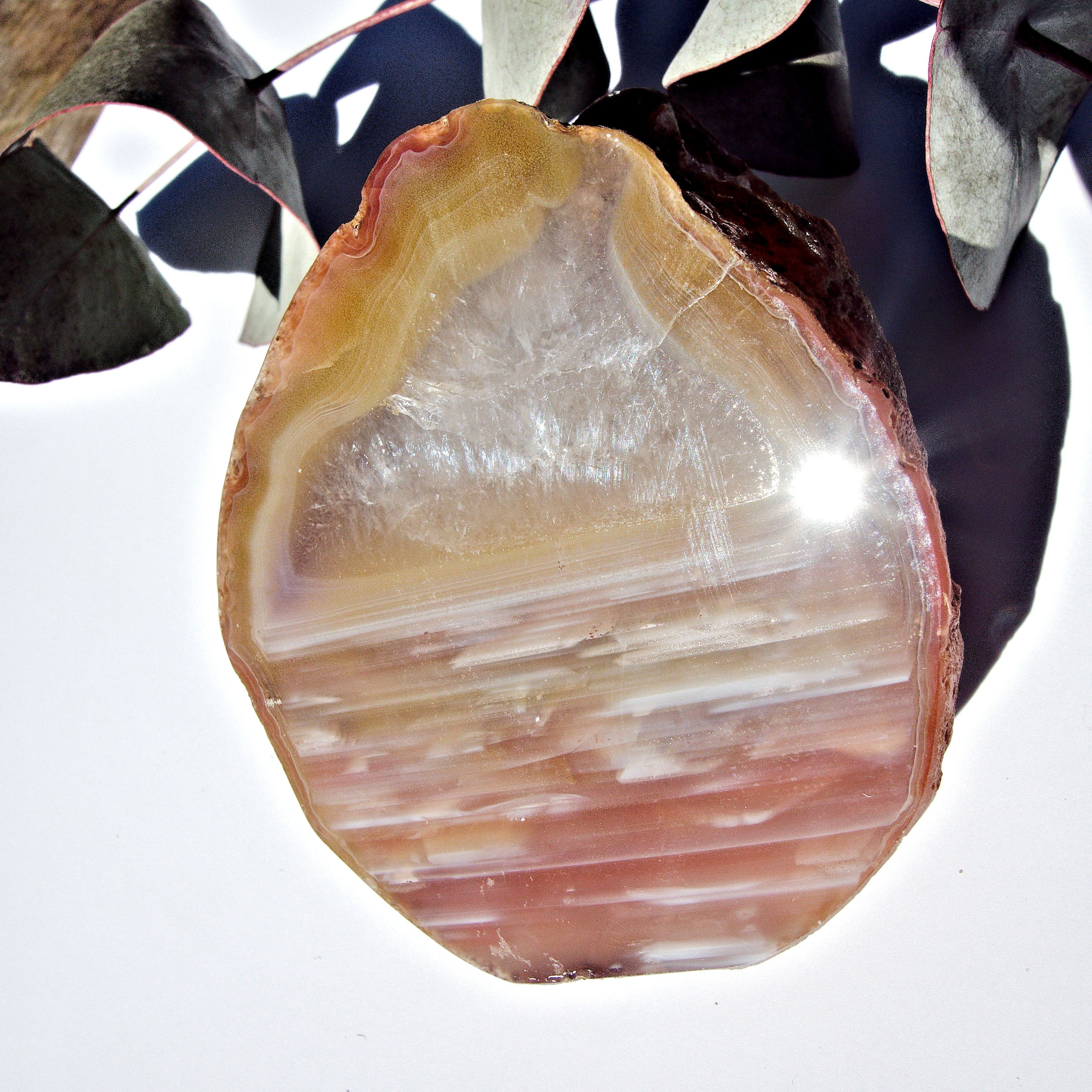 Australian Landscape Agate Partially Polished Display Specimen - Earth Family Crystals