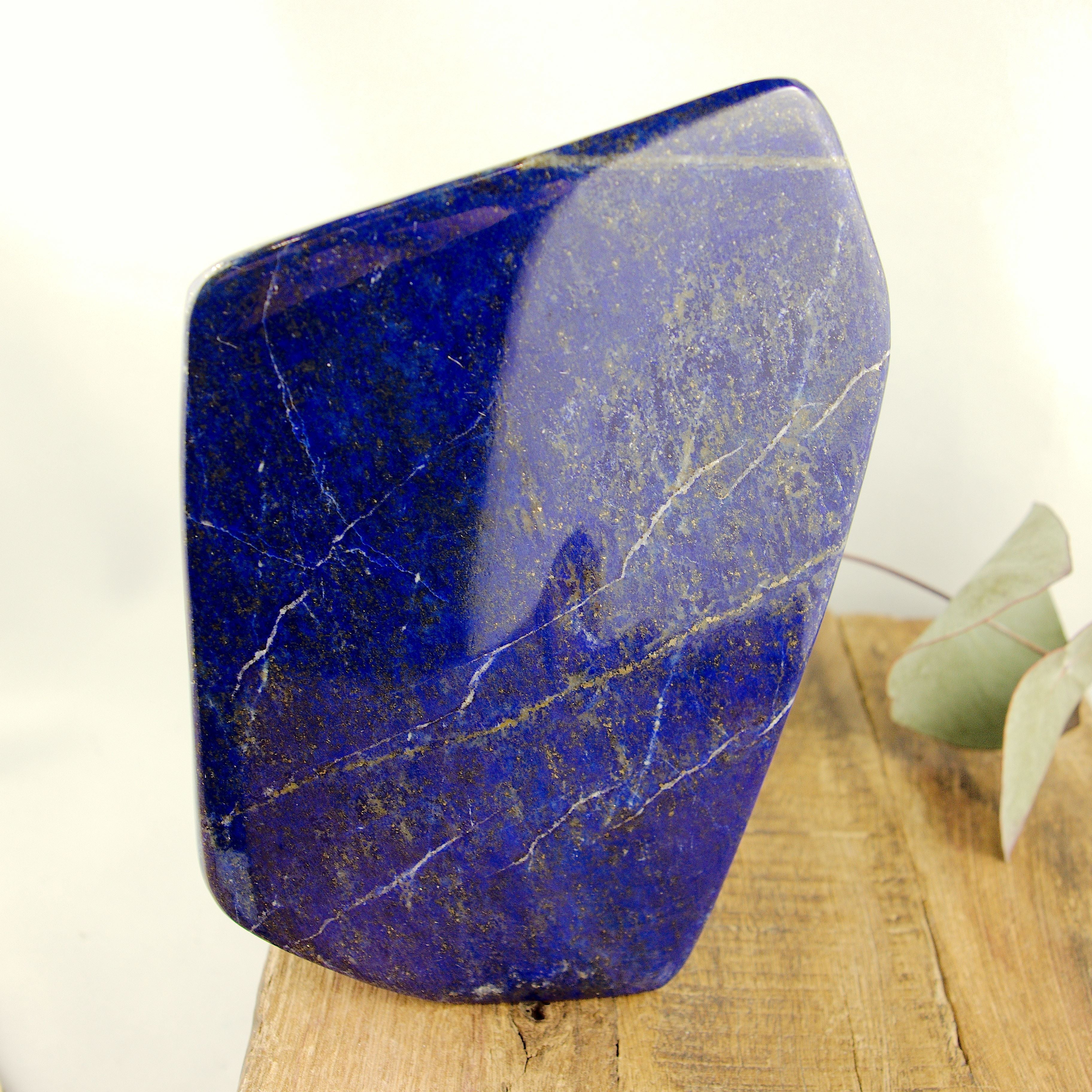 Gorgeous Large Deep Cobalt Blue & Golden Pyrite Lapis Lazuli Standing Display Specimen - Earth Family Crystals