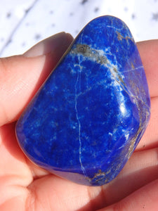 Deep Cobalt Blue & Pyrite Shimmer Lapis Lazuli Hand Held Specimen - Earth Family Crystals