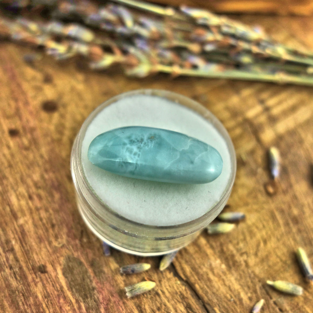 Polished Creamy Blue Larimar in Collectors Box3 - Earth Family Crystals