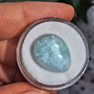 Pretty Blue Polished Larimar in Collectors Box 1