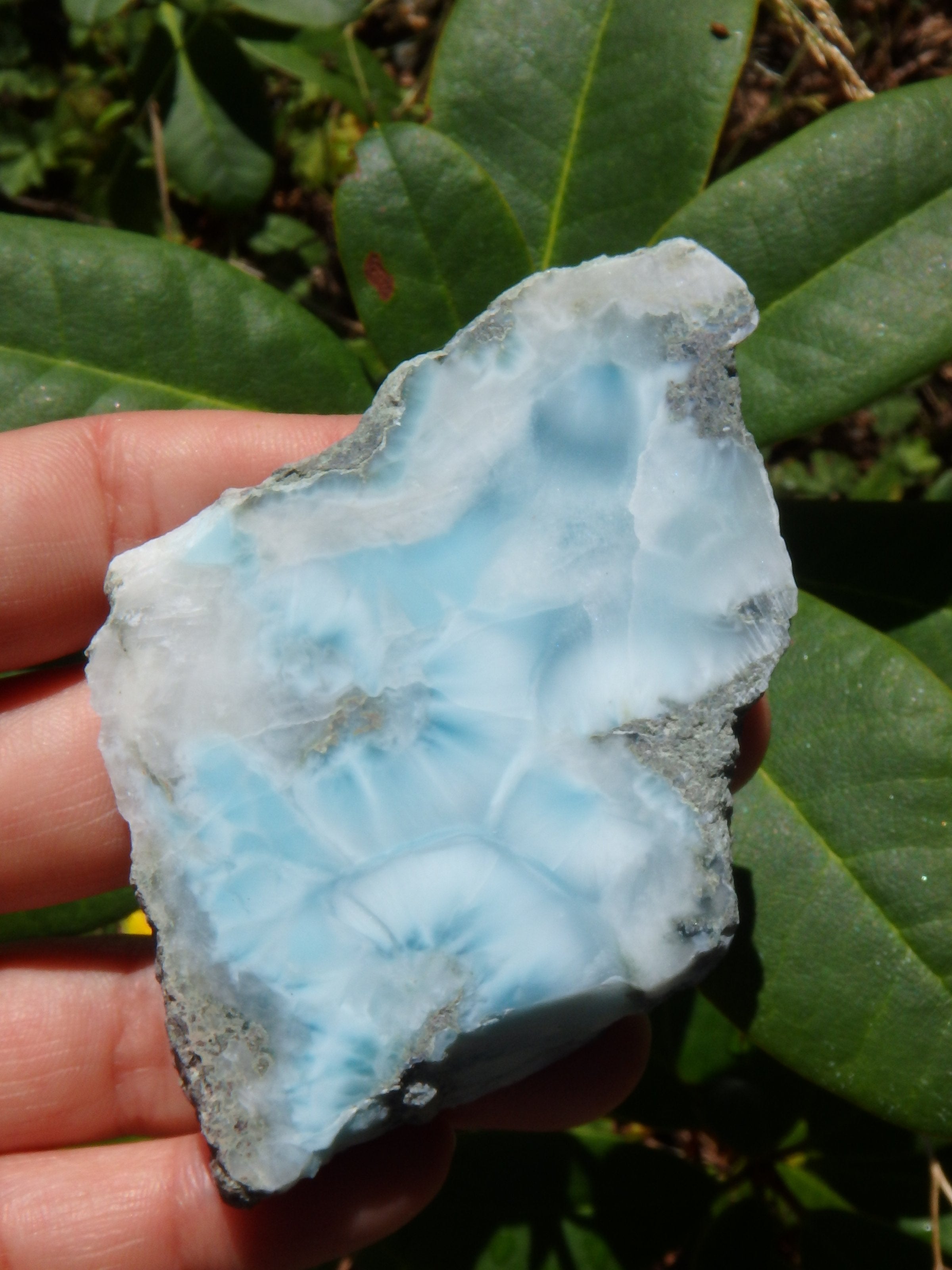 Ocean Dreams~Larimar Partially Polished Specimen From the Dominican Republic - Earth Family Crystals