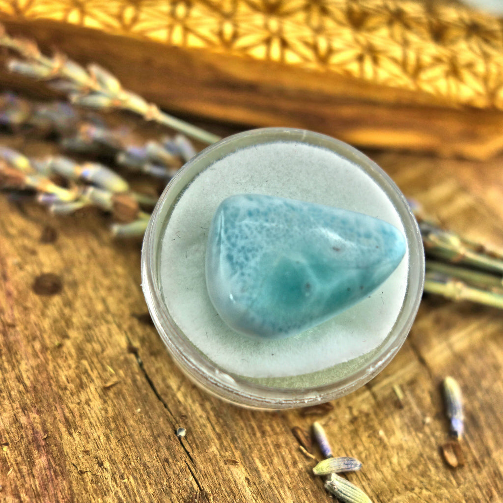 Polished Creamy Blue Larimar in Collectors Box2 - Earth Family Crystals