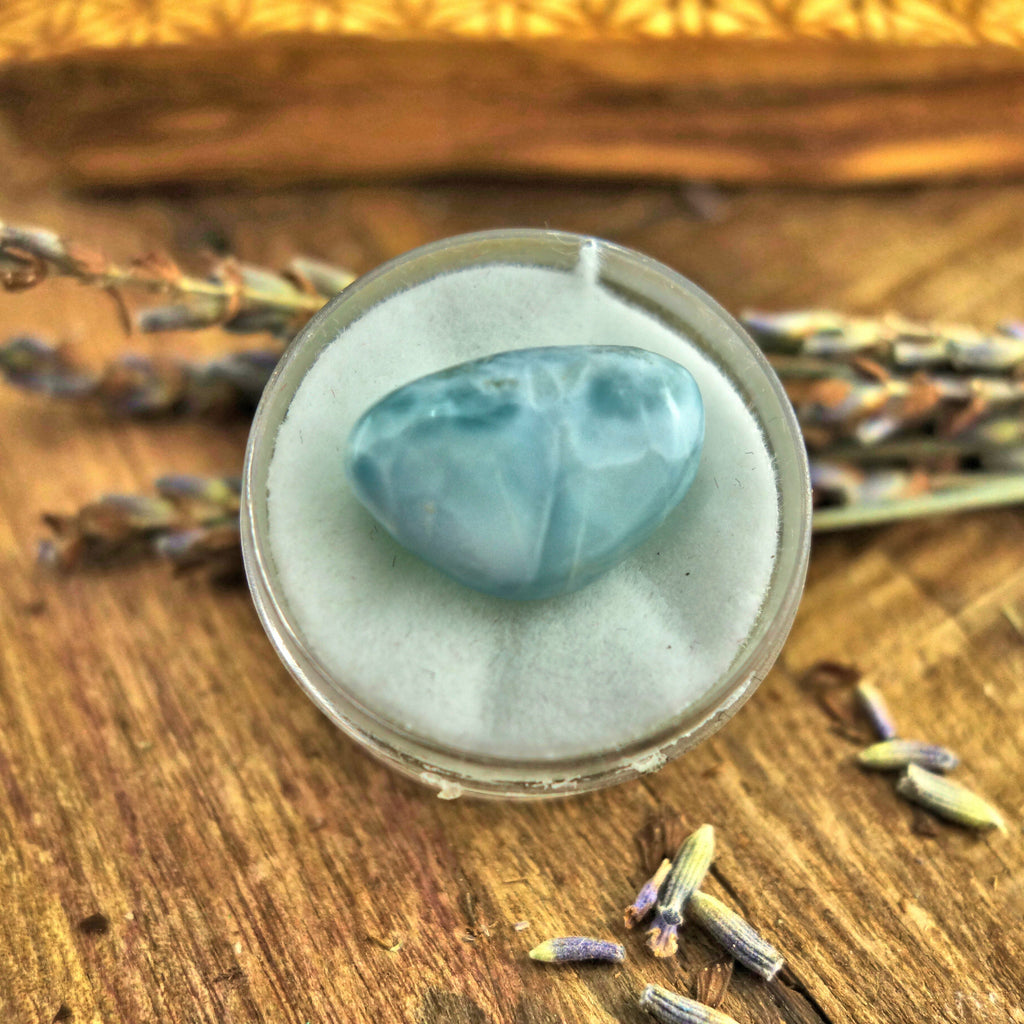 Polished Creamy Blue Larimar in Collectors Box1 - Earth Family Crystals
