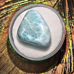 Pretty Patterns Polished Blue Larimar Collectors Specimen in Case 1 - Earth Family Crystals