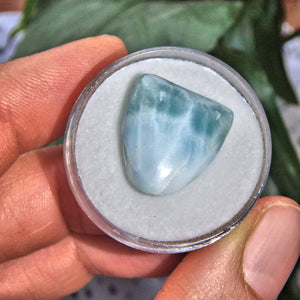 Pretty Blue Polished Larimar in Collectors Box 2