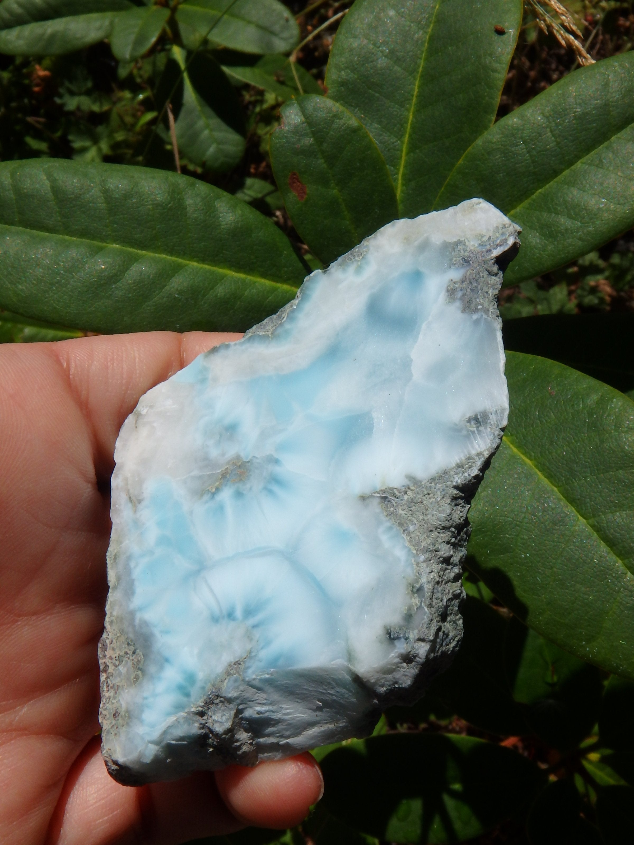 Ocean Dreams~Larimar Partially Polished Specimen From the Dominican Republic - Earth Family Crystals
