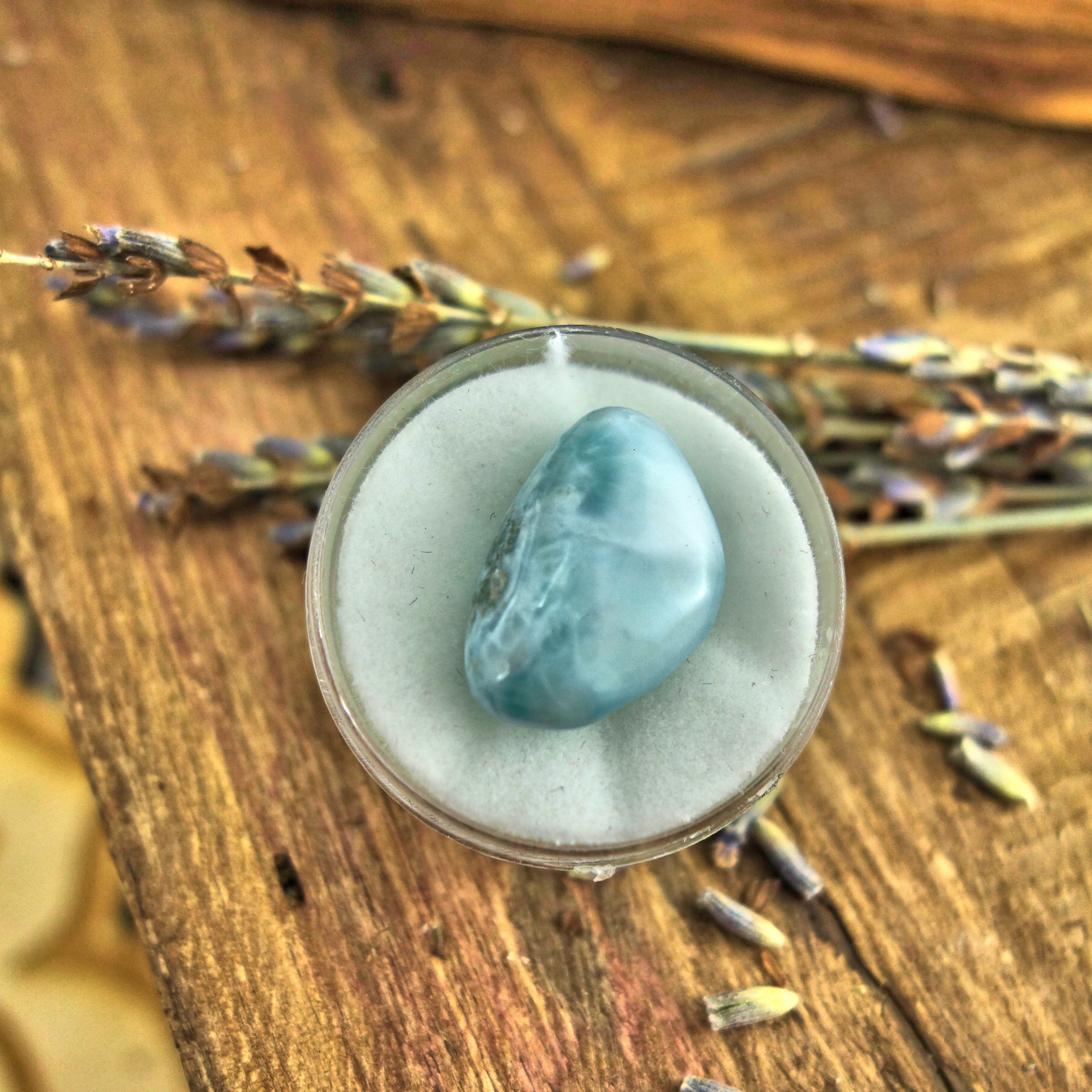 Polished Creamy Blue Larimar in Collectors Box1 - Earth Family Crystals