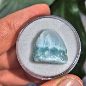 Pretty Blue Polished Larimar in Collectors Box 2