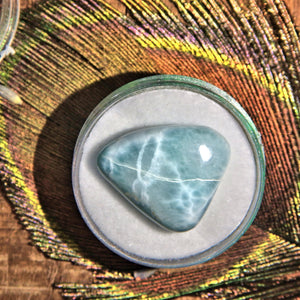 Pretty Patterns Polished Blue Larimar Collectors Specimen in Case 1 - Earth Family Crystals