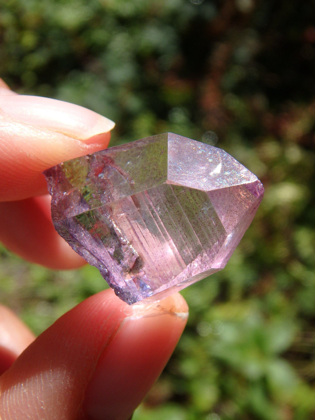 Adorable Dainty Rose Aura Colombian Lemurian Quartz Point 5 - Earth Family Crystals