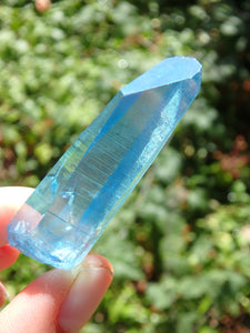 Stunning Blue Brilliance~Aqua Aura Colombian Lemurian Quartz Point 2 - Earth Family Crystals