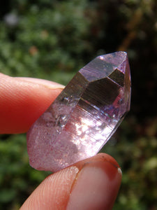 Adorable Dainty Rose Aura Colombian Lemurian Quartz Point 4 - Earth Family Crystals