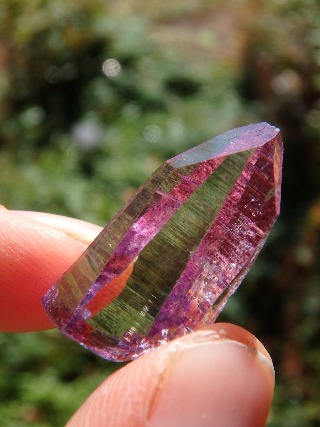 Adorable Dainty Rose Aura Colombian Lemurian Quartz Point 2 - Earth Family Crystals