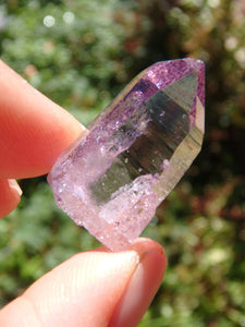 Adorable Dainty Rose Aura Colombian Lemurian Quartz Point 3 - Earth Family Crystals